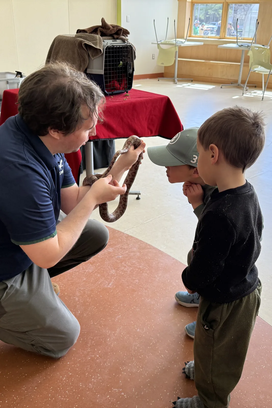 Children watching a wildlife presenter hold a snake during an indoor Festival activity